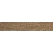 Напольная плитка Atlas Concorde Axi Silver Fir